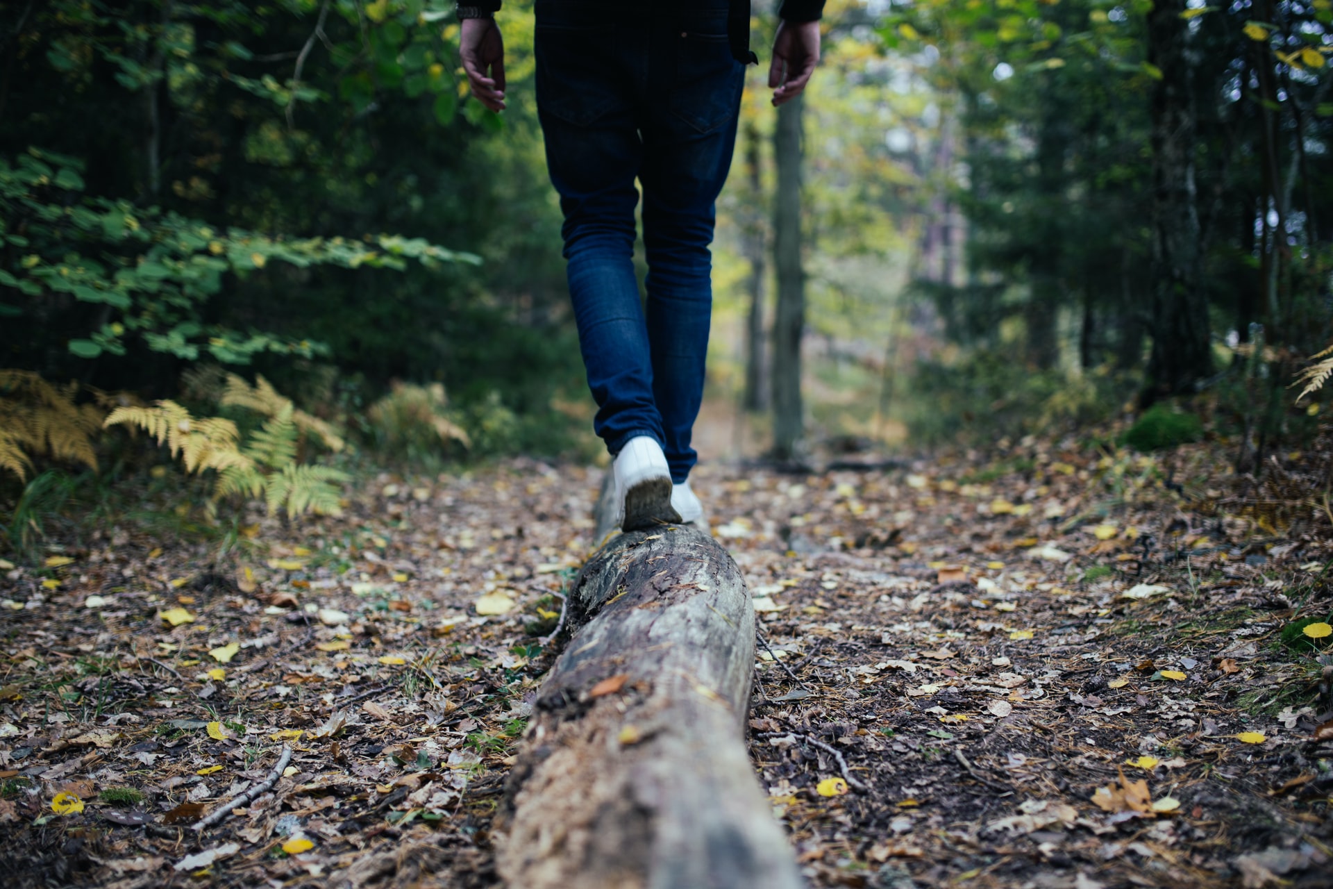 Person läuft über keinen Baumstamm im Wald 